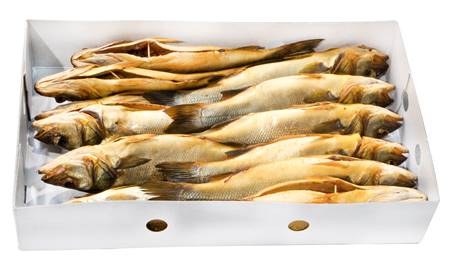 Cold smoked sea bass with head