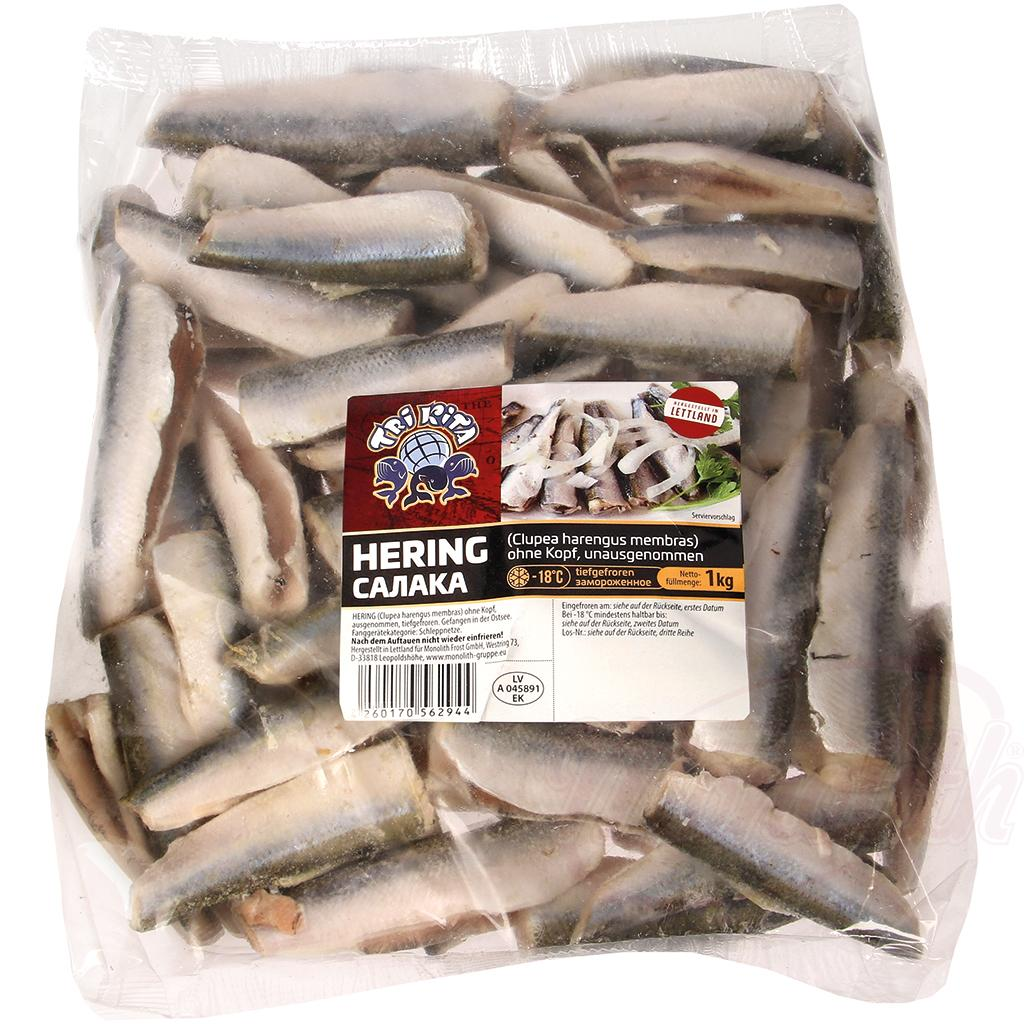 Hareng de la Baltique, sans tête, éviscéré, congelés