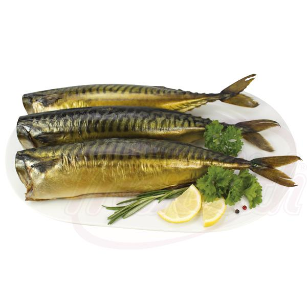 Maquereau salé, fumé à froid