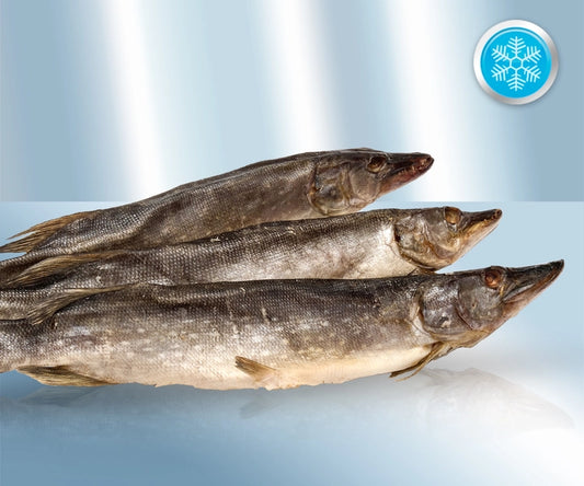 Pike gutted, with head, salted, dried, quick-frozen