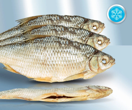 Roach (Rutilus) salted, dried, with head, gutted (12-24cm)