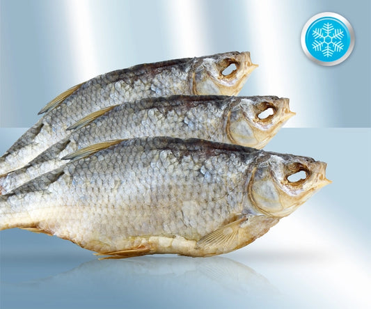 Roach (Rutilus) salted and dried, with head, ungutted (12-24cm)