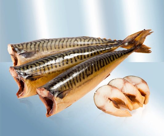 Mackerel (Scomber scombrus), gutted, without head, salted, cold-smoked