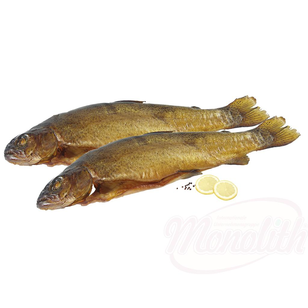 Truite saumonée fumée à froid /lose